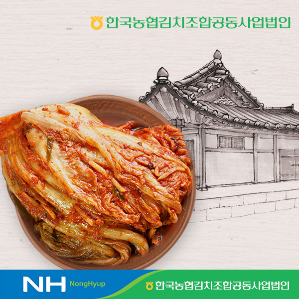 한국농협김치 청산 파김치3kg