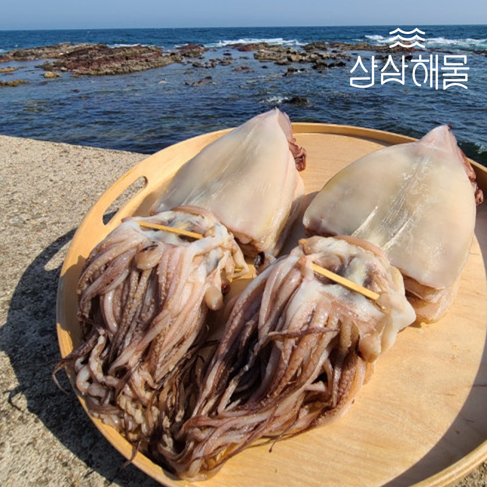 삼삼해물 국내산 반건조 오징어 (왕특대/2.0kg)